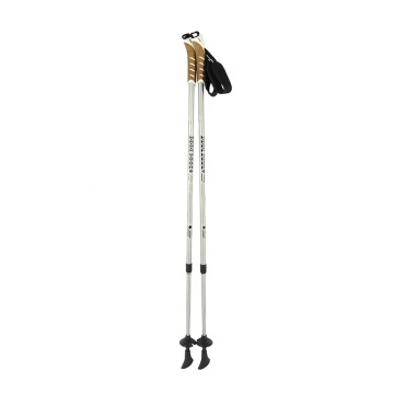 Customized Outdoor Alpine Ski Poles 6061 Aluminum Extendable Telescopic Pole