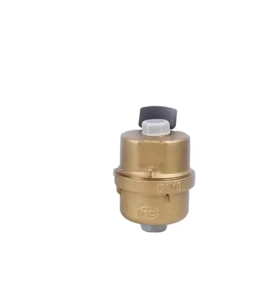 R160 CDWM Brand DN15 Volumetric Rotary Piston Water Meter