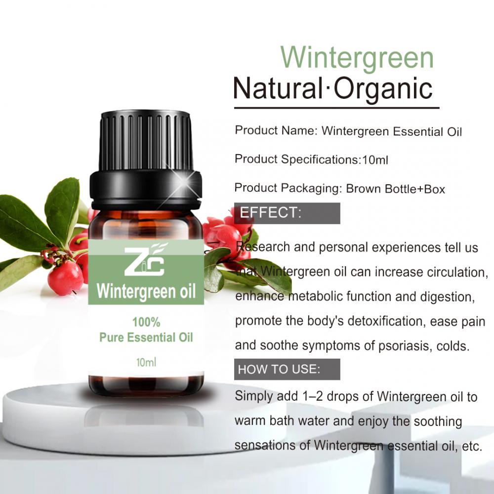 High Quality Wintergreen Essential Oil for Massage
