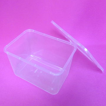 disposable custom plastic food container