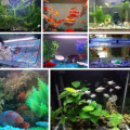 RGB Taucher Aquarium -LED -Licht mit Timerfunktion