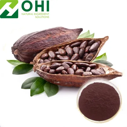Natural Cacao Color / Cocoa Husk Extract Pigment
