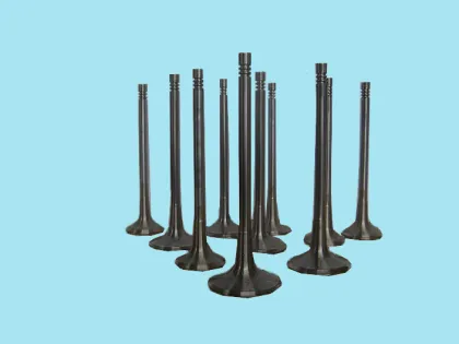 Machinery engine parts KOMATSU S6D140 Engine valve