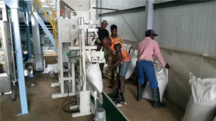 Wheat Maize Cleanign Plant