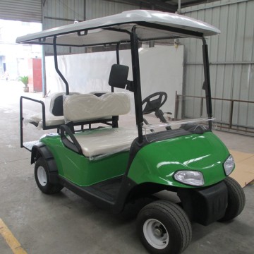 2 Seater Gas Golf Cart