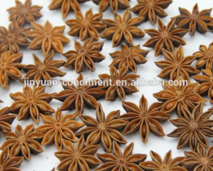 Star Anise Powder