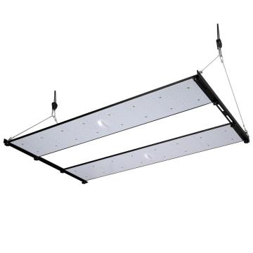 Bảng lượng tử LED tự làm Phlizon 480W