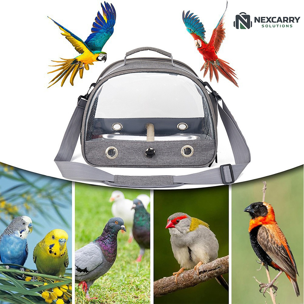 4-X-Pet Bird