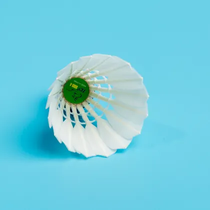 TCX8000-A TCX Brand Ganba Cigu Duck Feather Badminton Shuttlecock