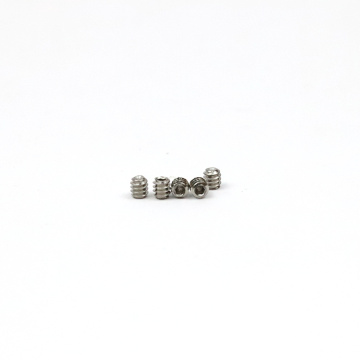Stainless Steel SS304/316 Small Set Screws