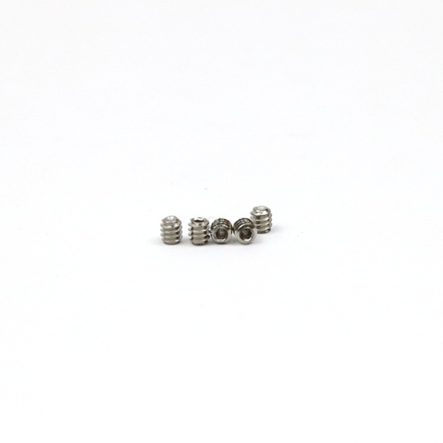 Stainless Steel SS304/316 Small Set Screws