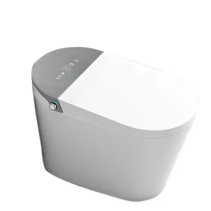 Intelligent Toilet: Advanced Features like Automatic Induction Flush, Integrated Sterilization, and Siphon Technology