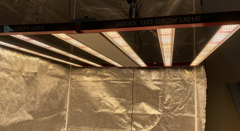 grow lights led bar
