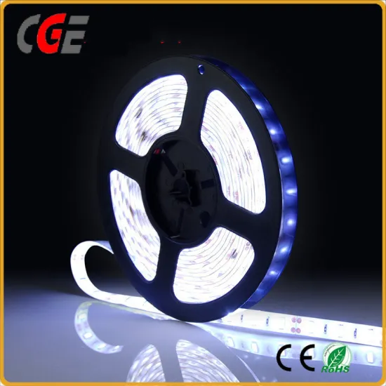 DC12V/24V Ce Approved Flexible LED Strip Light LED Strip Lamp Low Price