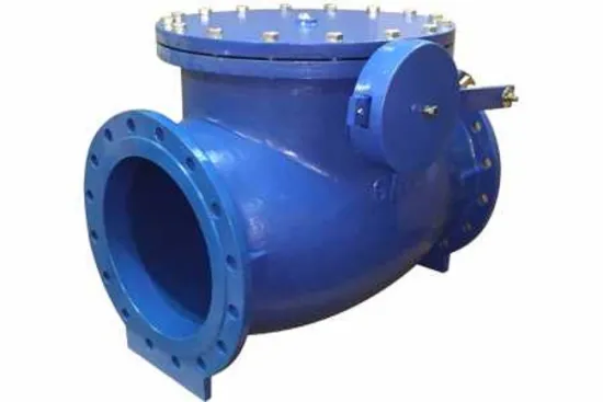 Metal Seat Cast Iron Check Valve