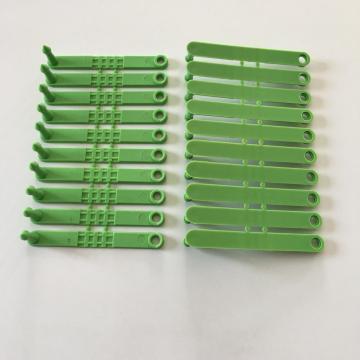green eartag sheep Siamesed ear tag