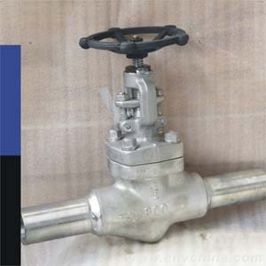 Stainless Steel Needle Valve Extended Body