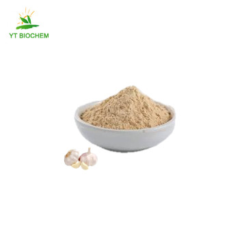 High quality garlic extract powder dehydrated garlic powder