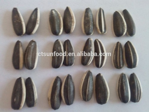 drying sunflower seeds hulled sunflower seeds sunflower seed market price