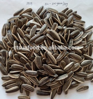 sunflower seeds specification sunflower seed market price