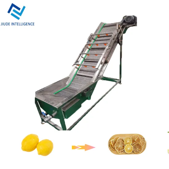 Stainless steel apple, kiwi, cherry, pineapple and vegetable washing and drying processing machinery