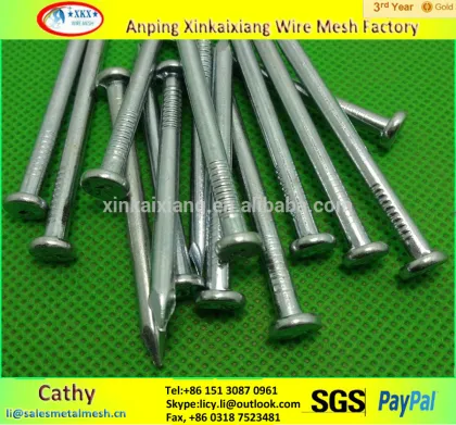 concrete steel nails / steel nails manufacturer