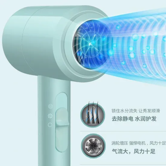 Professional Negative Ionic Blow Dryer Hot Cold Wind Air Brush Strong Power Hair Dryer