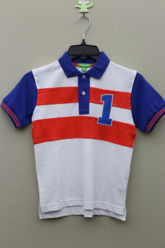 Boy's 100% Cotton Knitted Panel Polo with Small Embroider