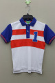 Boy's 100% Cotton Knitted Panel Polo with Small Embroider