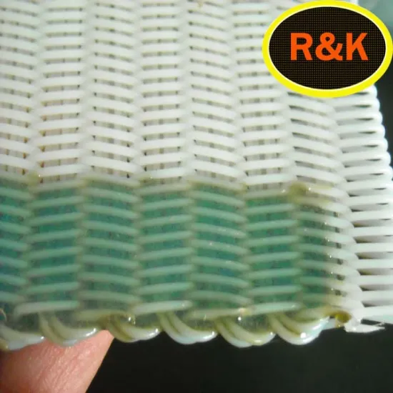polyester filter cloth for Phoenix