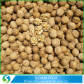 RAW-bearbetning Type och Snack använda hela valnötter med skal