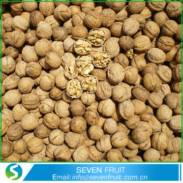 Natural Thin skin Chinese Small Walnuts in Shell