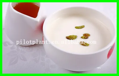 Particles pilot spray drying machine