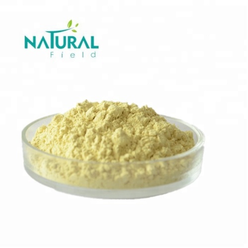 Anti-Inflammatory Factory Supply High Purity 98% Apigenin Chamomile Extract Factory