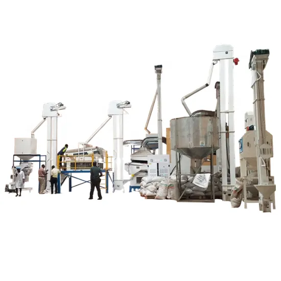 Sesame Seed and Paddy Rice Processing Line