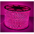 5050 Cuerda LED multicolor color rosa claro