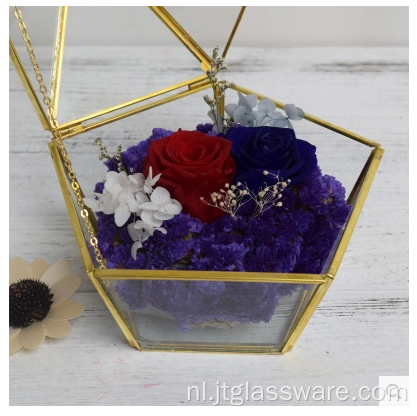 Woondecoratie Geometrisch Glas Terrarium Ecologisch