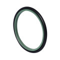 Piston rod seal GSI sealing ring