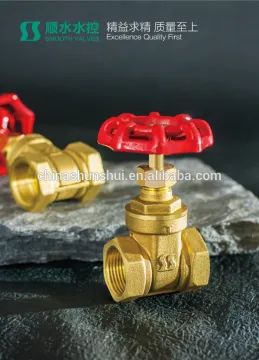 forged brass gate valve/ brass water meter gate valve/ flanged gate valve/megnetic locking gate valve water gas oil media