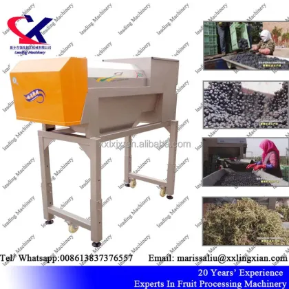 Large Scale Ice Grape Juice Making Machine | Grape Juice Processing Equipment