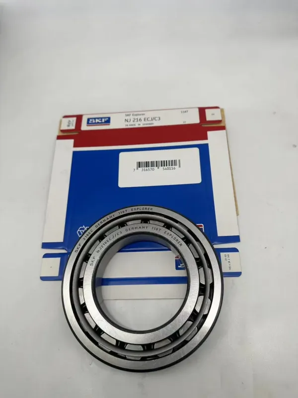 Best Single Row Cylindrical Roller Bearing for Auto Wheel Hub, Water Pump & Gearbox