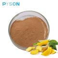 5% Gingerol Powder Ginger Root Extract