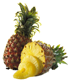 Processed Pineapple Products