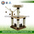 2015 Stockd Cat & Cat Furniture & Cat Tree