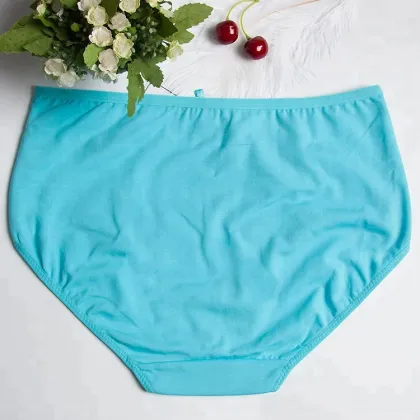 High End health underwear sexy lace panties