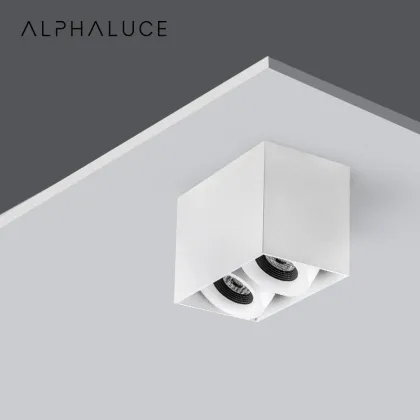 DALI Dimmable Square Mounted Washer Downlight Surface Double Head LED Down Light