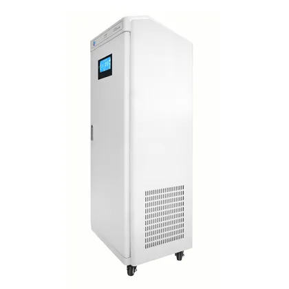 Best air cleaner for allergies clean air sterilizer