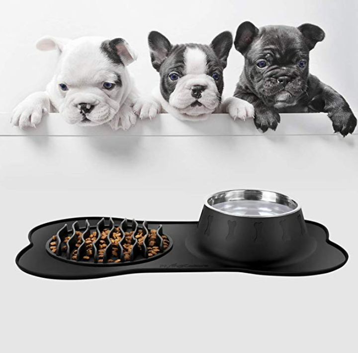 Slow Feeder and Pet Water Bowl Set