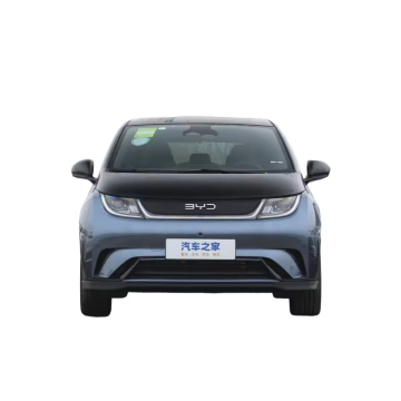 2024 BYD Dolphin Free Version Electric Car with 420 km Range