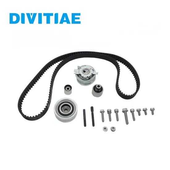 INA Engine Timing Chain Kit for Volkswagen GOLF 2.0TDI